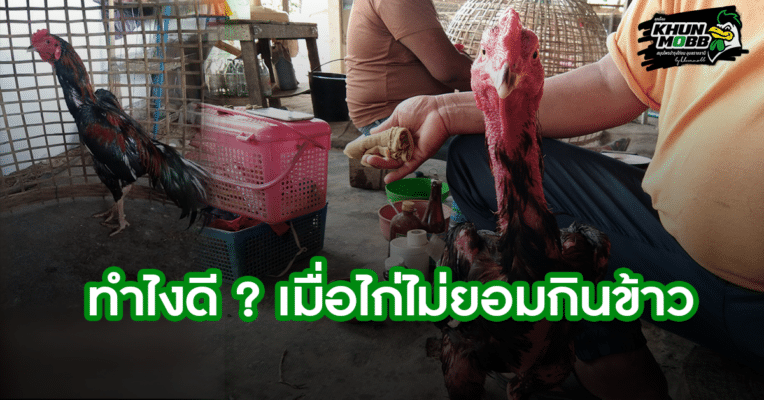 20200213070422cover 1