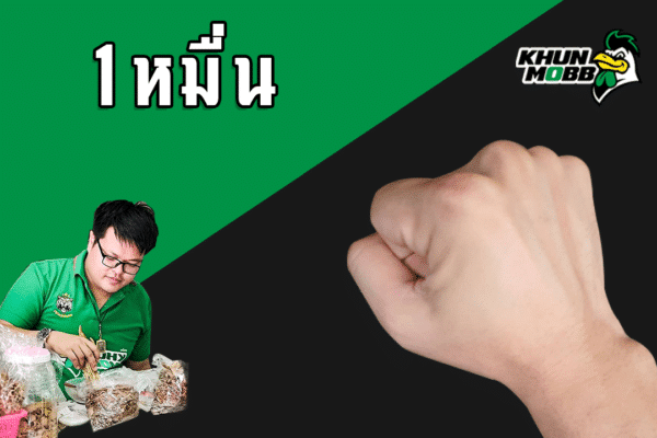 1หมื่น