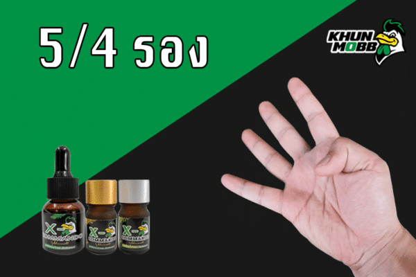 รอง5 4