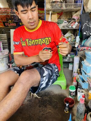 วิธีรักษาพยาบาลหลังจากไก่ชนแล้ว