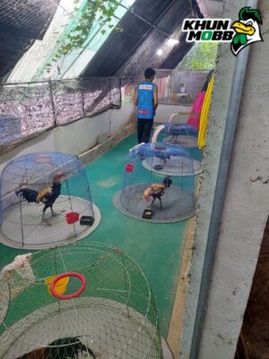 ดีไซน์ที่ยังไม่ได้ตั้งชื่อ 35