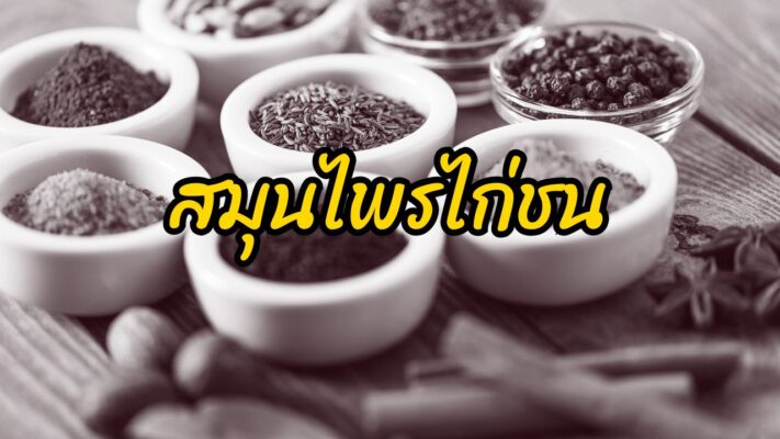 ยากําลังไก่ชน