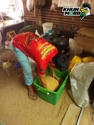 อาหารไก่