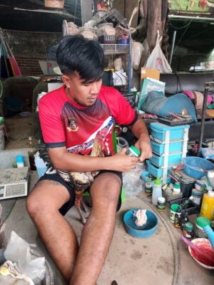 การเตรียมพร้อมไก่ชน