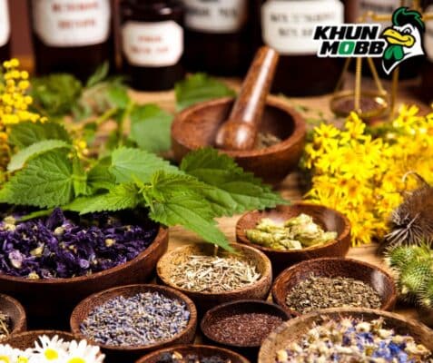 สูตรทำ ยากำลังไก่ชน