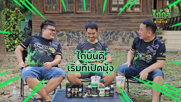 ไก่บินดี เริ่มที่เปิดมุ้ง