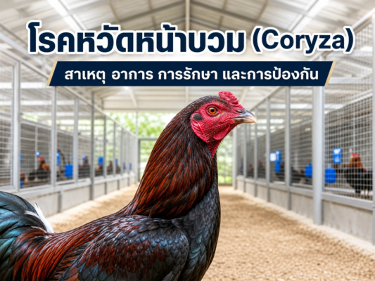 โรคหวัดหน้าบวม