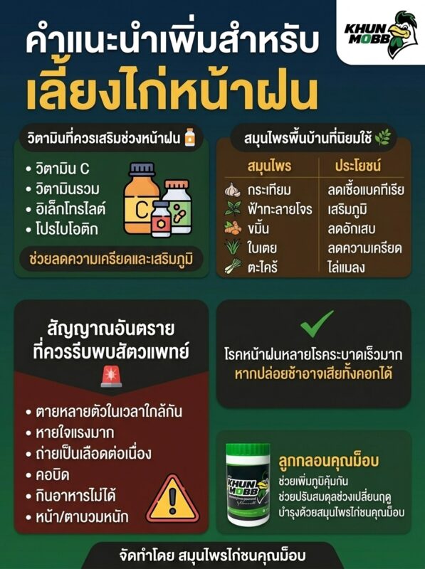 โรคไก่หน้าฝน